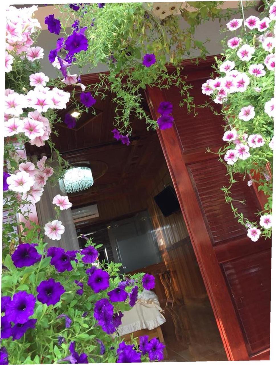 Khamy Riverside Villa Hội An Ngoại thất bức ảnh